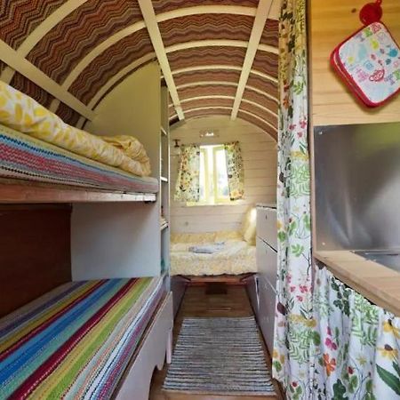 Clissmann Horse Caravans Glamping Rathdrum Dış mekan fotoğraf