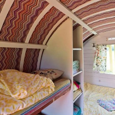 Clissmann Horse Caravans Glamping Rathdrum Dış mekan fotoğraf