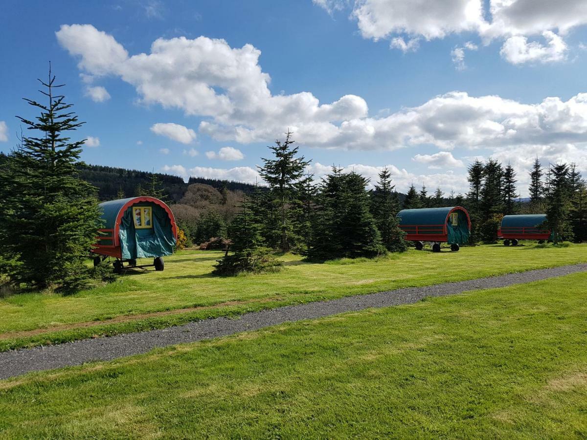 Clissmann Horse Caravans Glamping Rathdrum Dış mekan fotoğraf