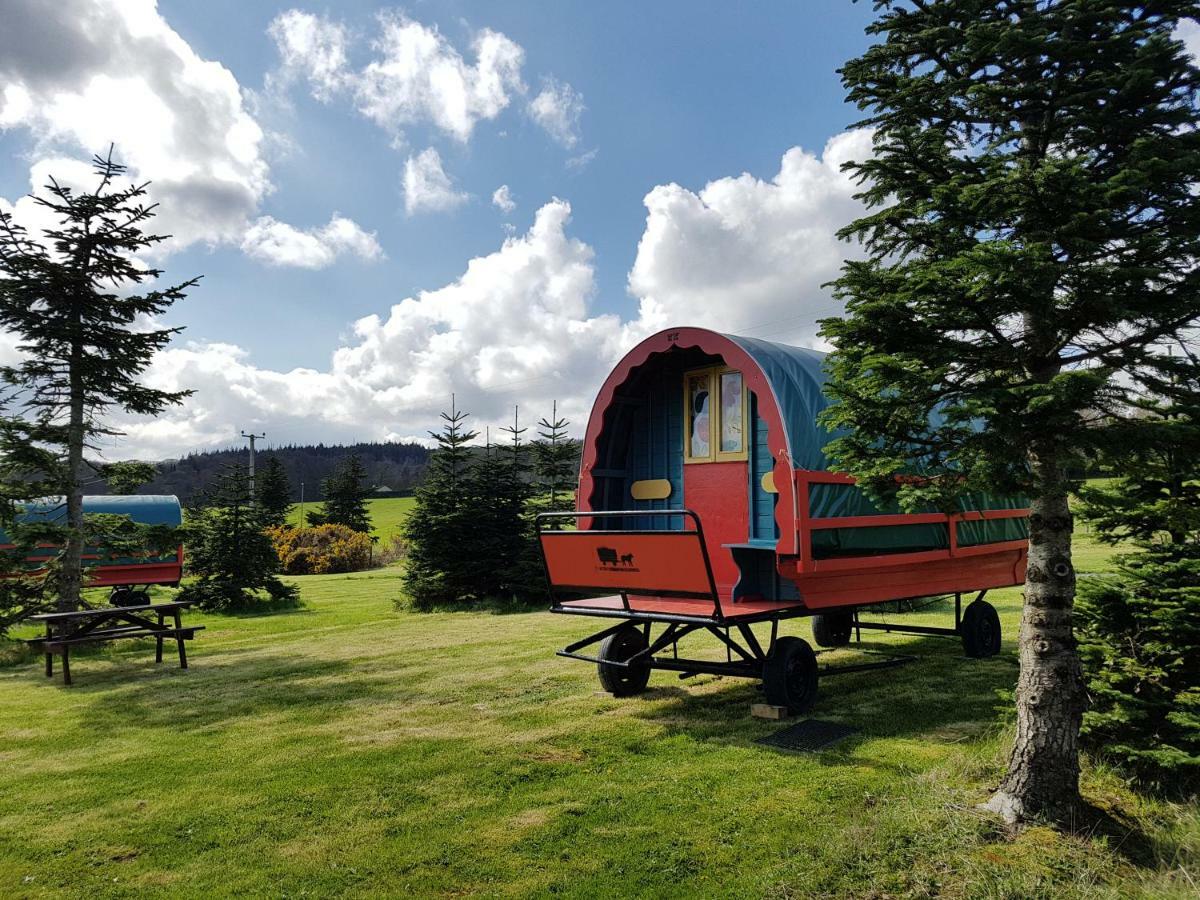 Clissmann Horse Caravans Glamping Rathdrum Dış mekan fotoğraf