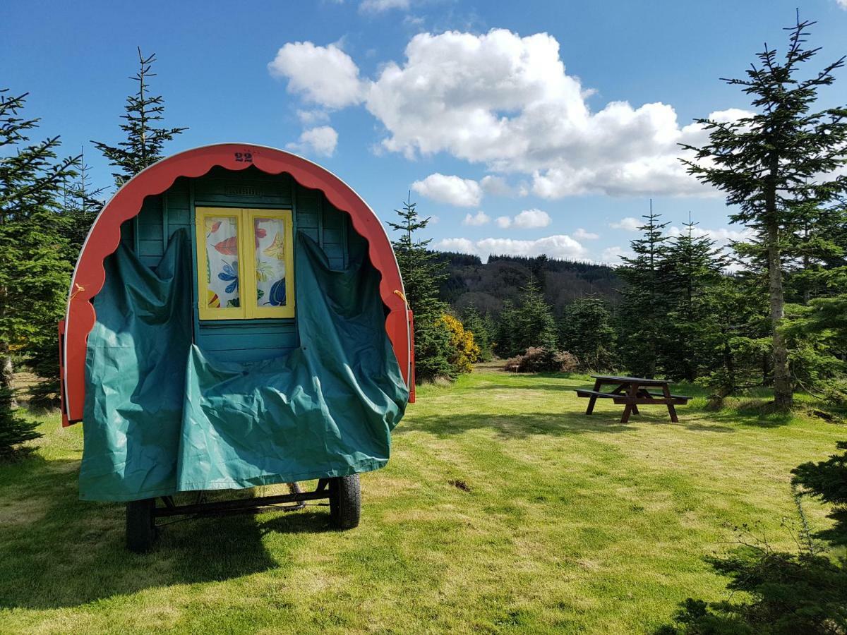 Clissmann Horse Caravans Glamping Rathdrum Dış mekan fotoğraf