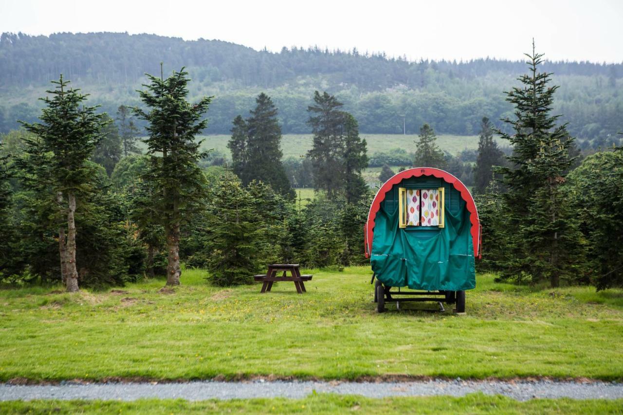 Clissmann Horse Caravans Glamping Rathdrum Dış mekan fotoğraf