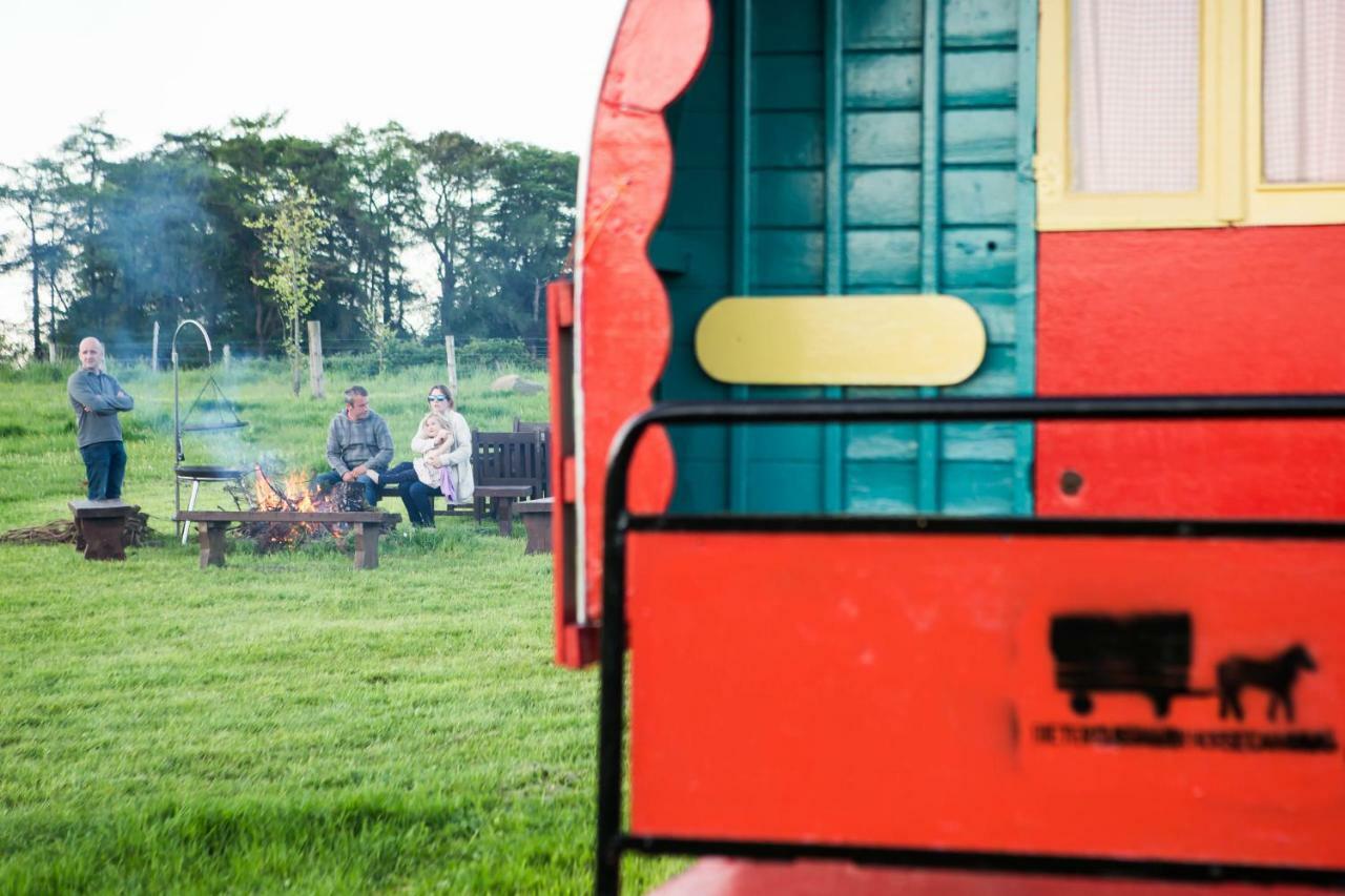 Clissmann Horse Caravans Glamping Rathdrum Dış mekan fotoğraf